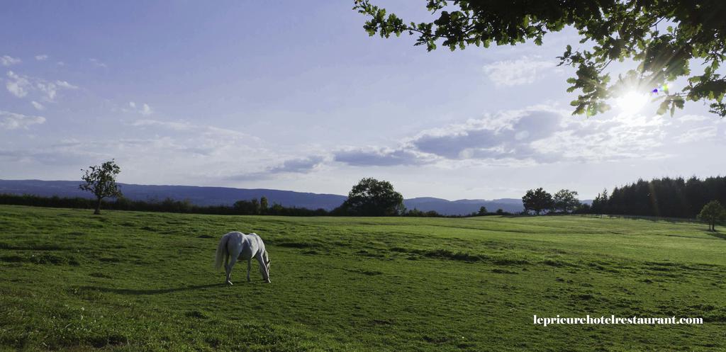 Domaine Le Prieure Hotel Chaumont-le-Bourg Екстериор снимка